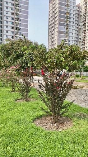 Bán căn hộ chung cư Vision - Tân Tạo Bình Tân, 45m2, giá 1,4 tỷ