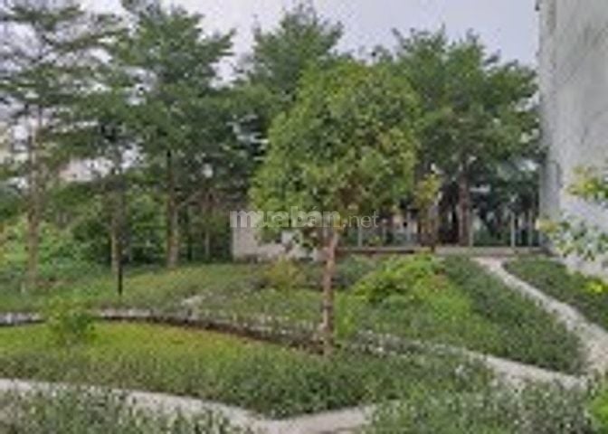 Căn hộ The Mansion 2PN, 2WC, 83m2, 02 ban công, tầng 11. Giá 6 tr/th