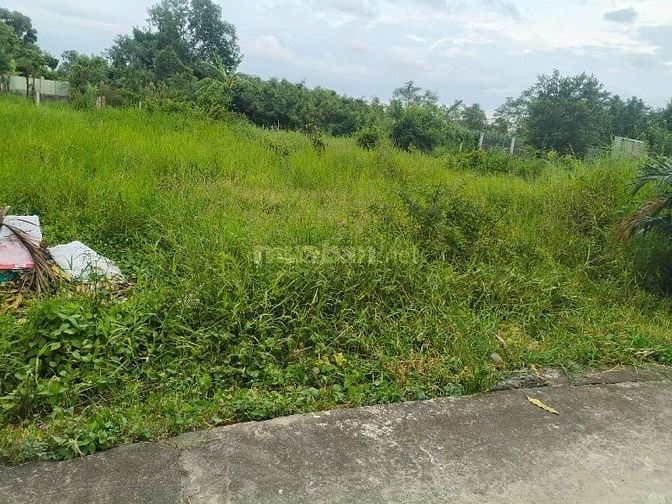 Chính chủ bán đất vườn HXh Bùi Thanh Khiết, Bình Chánh