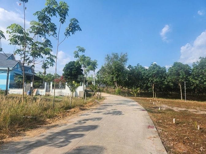 Đừng bao giờ đợi đủ tiền mới mua BDS_ mà hãy mua BDS để đợi giá tăng.