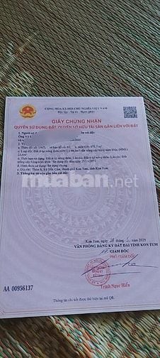 thu bồn 173m2 thổ cư 150m2 dân đông sát chợ trường học ubnd