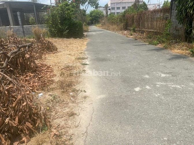 Bán đất đường Nguyễn Du thị xã Trảng Bàng Tây Ninh 147,2m2 thổ cư
