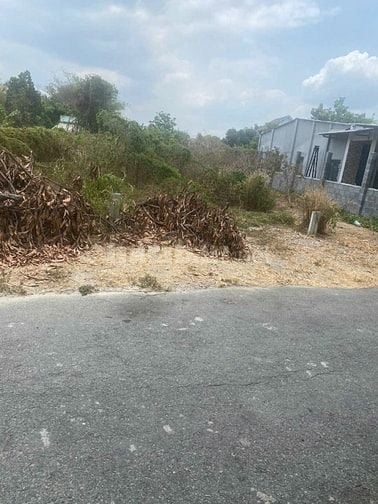 Bán đất đường Nguyễn Du thị xã Trảng Bàng Tây Ninh 147,2m2 thổ cư