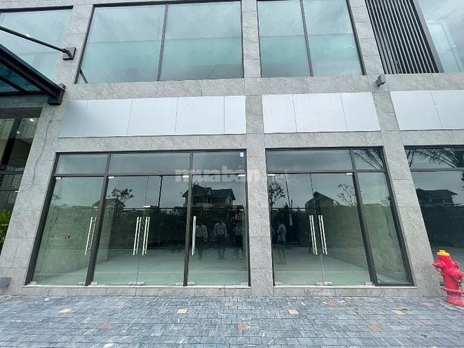 Cần bán căn shophouse chính chủ tại Ecopark