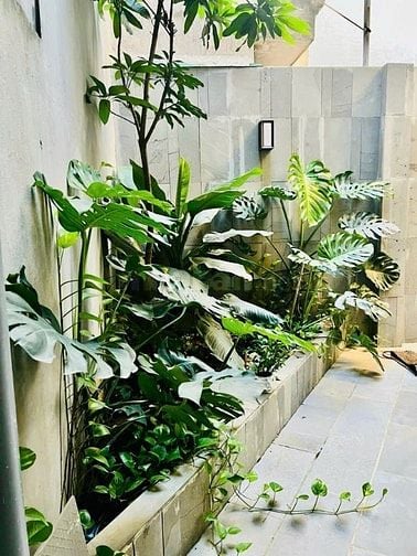 CHÀO BÁN CĂN BIỆT THỰ SÂN VƯỜN 
