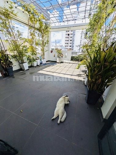 LÊ ĐẠI HÀNH QUẬN 11, HẺM 7M Ô TÔ NGỦ TRONG NHÀ, GẦN 60M2 NGANG 4.3M