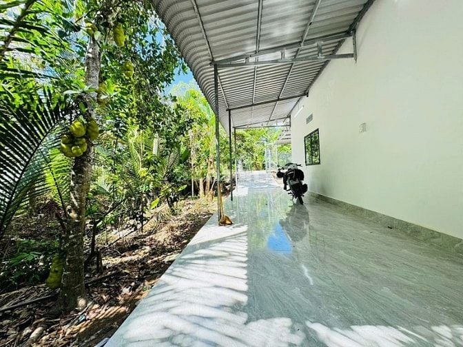 HÀNG NGỘP NÈ ANH CHỊ ƠIII, CĂN NHÀ VƯỜN Ở CỦ CHI GIÁ 1 TỶ 250 TRIỆU, 3