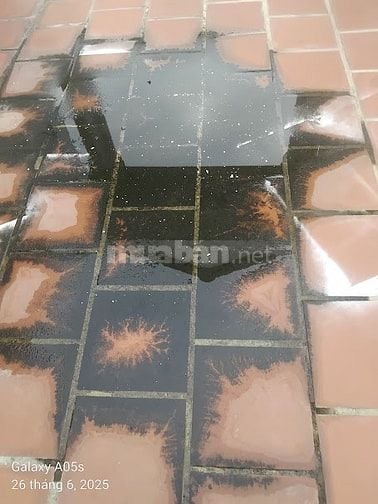Chống thấm dột nhà WC, Sân thượng, bảo hành 12 tháng.