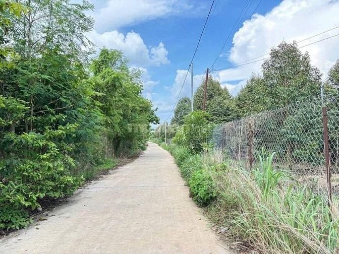 Sở hữu ngay 1200m² đất vườn cạnh suối  gần hồ Trị An, Đồng Nai