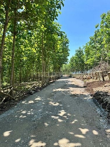 SIÊU PHẨM ĐẤT VƯỜN NGHỈ DƯỠNG GIÁ RẺ BẤT NGỜ CHỈ 900 TRIỆU/SÀO