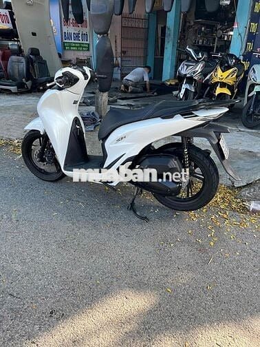 cần bán xe sh cao