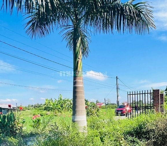 1000m2 có thổ cư 380tr, còn lại trả dần, chỉ có tại Long An