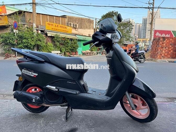 Scr xe Nhập