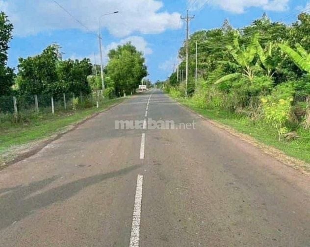 Chủ Định Cư Nước Ngoài Cần Bán Gấp Vườn 3.500m² Gần TP Long Khánh 