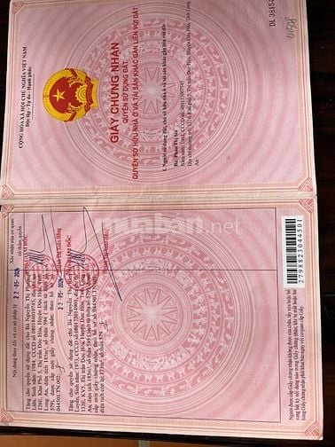 Đất mặt tiền đường Tỉnh Lộ 824 - Ngay thị trấn Đức Hoà - gần Vinhomes