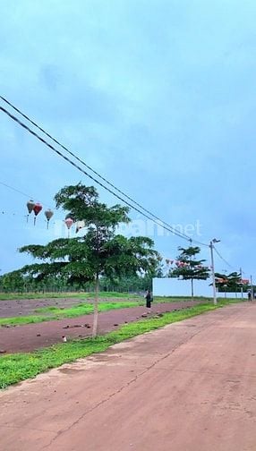 TỔ ẤM TRONG MƠ - BÌNH PHƯỚC XANH MÁT - CHỈ VỚI 300 TRIỆU!