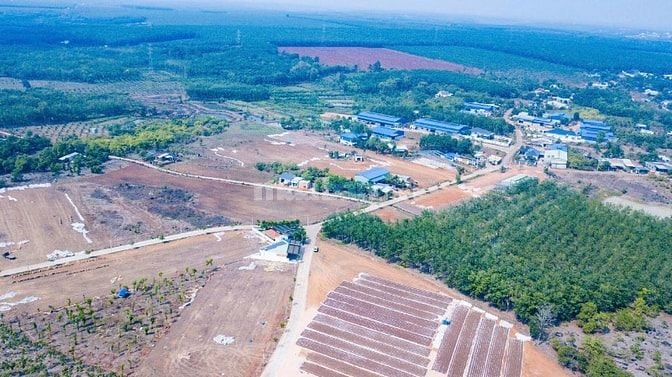 TỔ ẤM TRONG MƠ - BÌNH PHƯỚC XANH MÁT - CHỈ VỚI 300 TRIỆU!