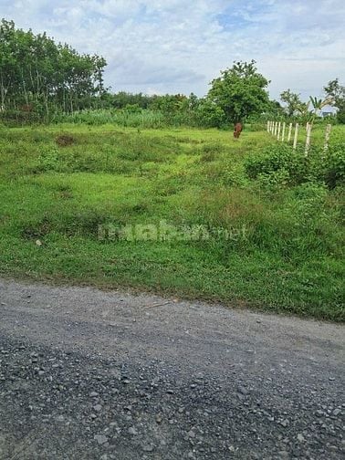 50triệu mua ngay nền đất mặt tiền ĐT787 giao đường HCM phường lộc hưng