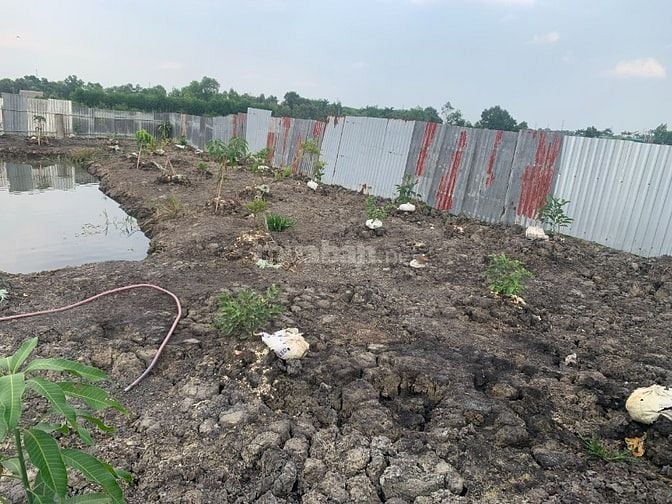 Bán đất Thới Tam Thôn Hóc Môn 