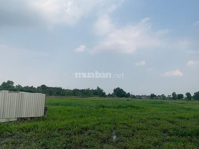 Bán đất Thới Tam Thôn Hóc Môn 