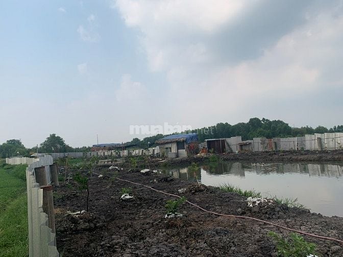 Bán đất Thới Tam Thôn Hóc Môn 