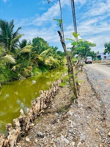 Bán Đất Thổ Cư TL824 - Sát Vinhome - Thị Trấn Đức Hoà - Sổ Sẵn