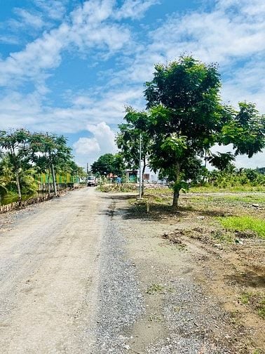 Bán Đất Thổ Cư TL824 - Sát Vinhome - Thị Trấn Đức Hoà - Sổ Sẵn