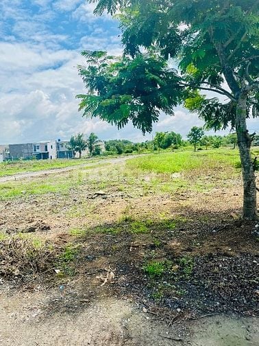 Bán Đất Thổ Cư TL824 - Sát Vinhome - Thị Trấn Đức Hoà - Sổ Sẵn