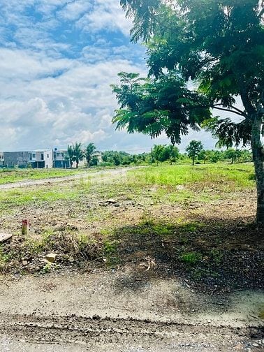 Bán Đất Thổ Cư TL824 - Sát Vinhome - Thị Trấn Đức Hoà - Sổ Sẵn