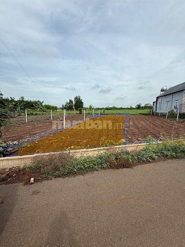 Bán Đất tại Xã Bình Trung, Châu Đức, Bà Rịa Vũng Tàu, 1,55tỷ, 147,8 m.