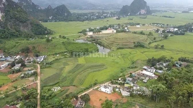 💥 Bán đất S=2,3ha giá siêu rẻ tại Kim Bôi, Hòa Bình tiềm năng 