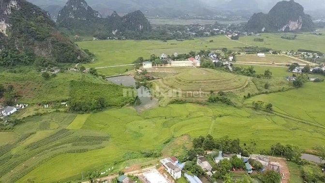 💥 Bán đất S=2,3ha giá siêu rẻ tại Kim Bôi, Hòa Bình tiềm năng 