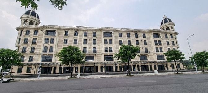 Cho thuê mặt bằng shophouse dự án Aqua City (Đồng Nai)
