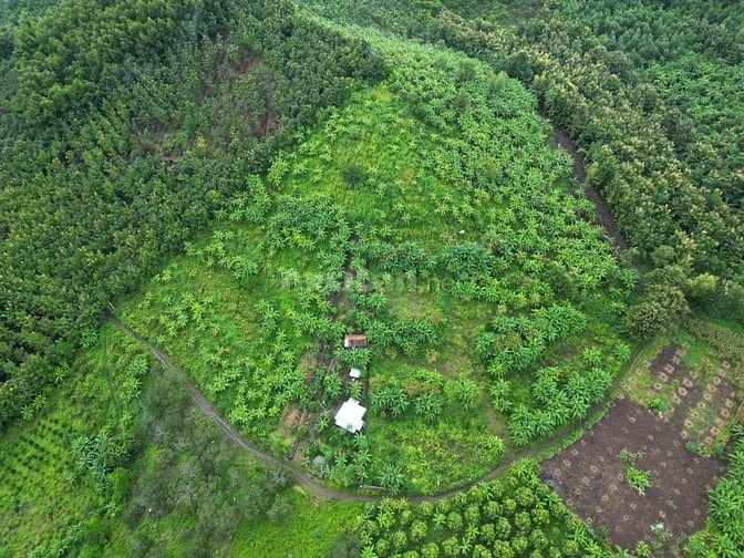 1 sào đất vườn view sông La Ngà, trái cây đủ loại