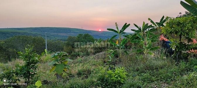 1 sào đất vườn view sông La Ngà, trái cây đủ loại