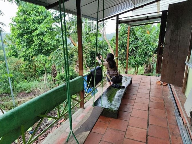 1 sào đất vườn view sông La Ngà, trái cây đủ loại