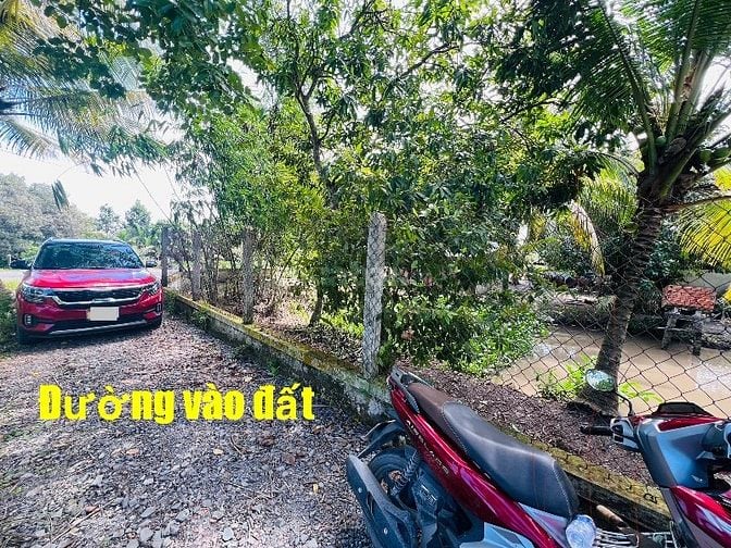 Đất thổ rẻ 180m2 tại Long An gần TP, 100tr sang sổ, còn lại trả dần
