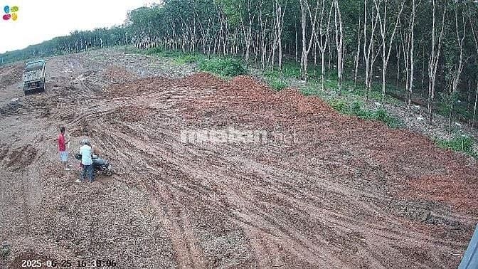 🔥 CHO THUÊ GẤP – ĐẤT ĐẸP GIÁ SIÊU TỐT – TẠI AN LONG – 2 MẶT TIỀN