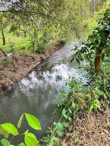 Cần bán vườn sầu riêng 500m2 giá 490tr mặt tiền đường nhựa 