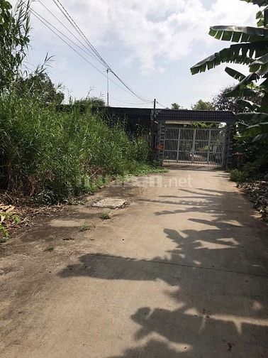 đất nền bình chánh, gần đường đoàn nguyễn tuấn  - sổ hồng riêng