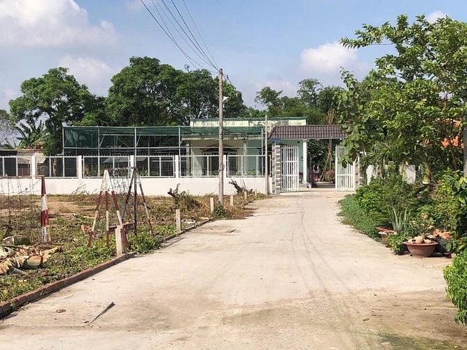 đất nền bình chánh, gần đường đoàn nguyễn tuấn  - sổ hồng riêng