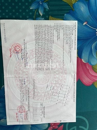 Chính chủ cần bán đất nền tái định cư An Hạ xã Phạm Văn Hai,Bình Chánh