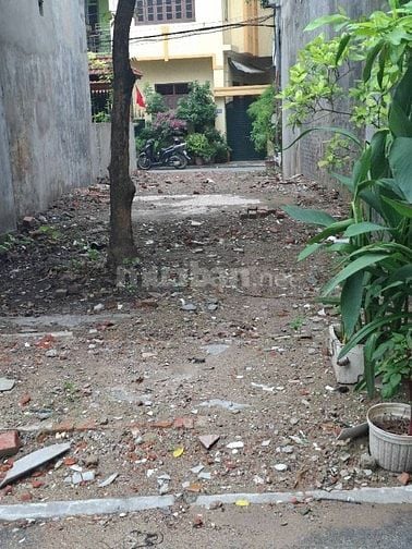 .TT. Trâu Quỳ, Gia Lâm, Hà Nội 81,2m² (2 mặt đường ô tô, ngay cổng phụ