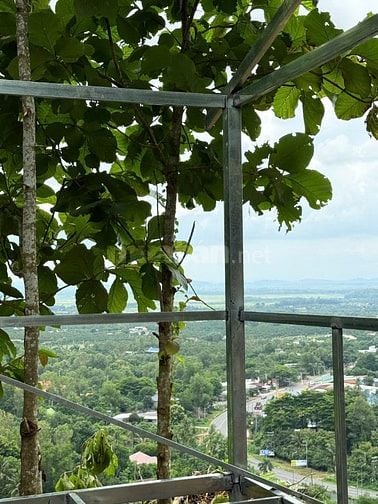 1.050m²  Sổ hồng riêng. Giá trọn sổ chỉ 900 triệu 