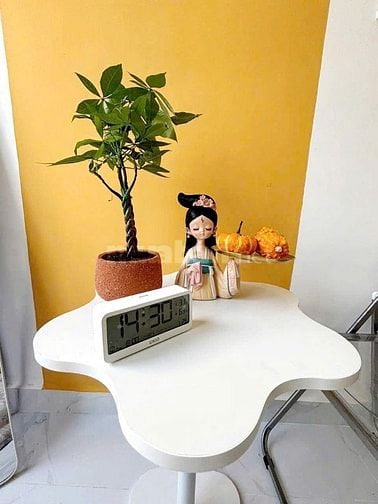 Tòa CHDV HXH Nguyễn Đình Chiểu, P4, Q3. DT 6x10m, 5 tầng – 19.9 tỷ