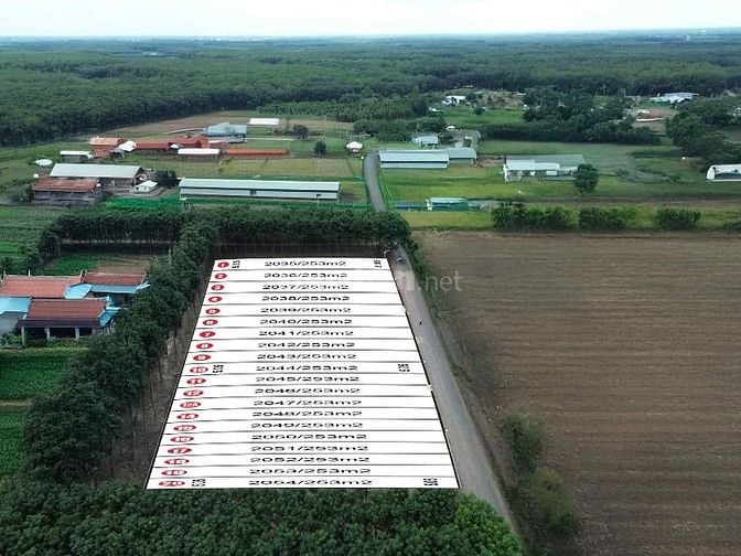 ĐẤT ĐẸP (5X50) 250M-(50TC)-KCN QUANG MINH-299TR