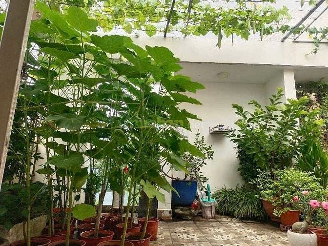 BÁN NHÀ HẺM XE TẢI – TRƯỜNG THỌ, THỦ ĐỨC