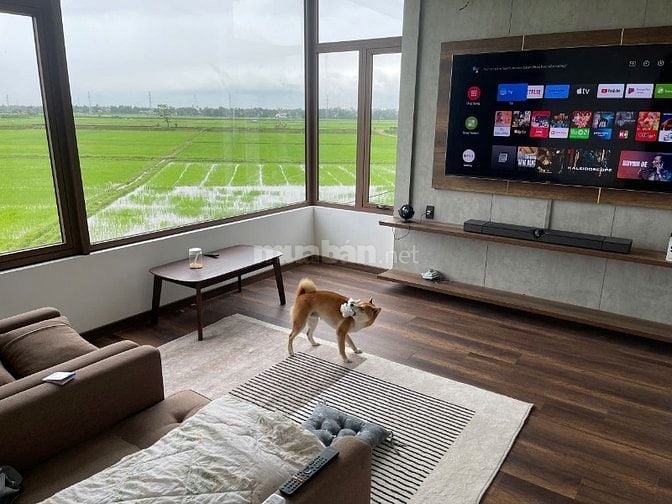 Chính chủ bán villa chill Phong Nam, Hoà Châu, Đà Nẵng