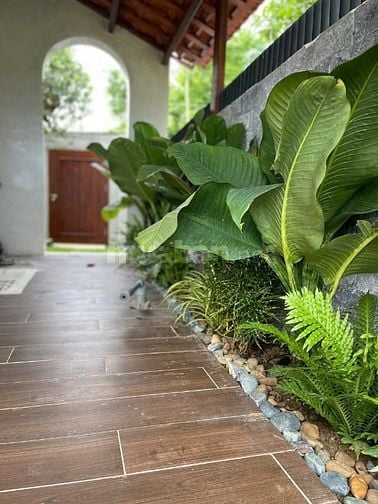 Chính chủ bán villa chill Phong Nam, Hoà Châu, Đà Nẵng