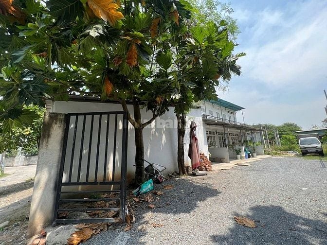 Bán đất FULL THỔ CƯ chính chủ Tân Hiệp, Hốc Môn gần Chùa Hoằng Pháp